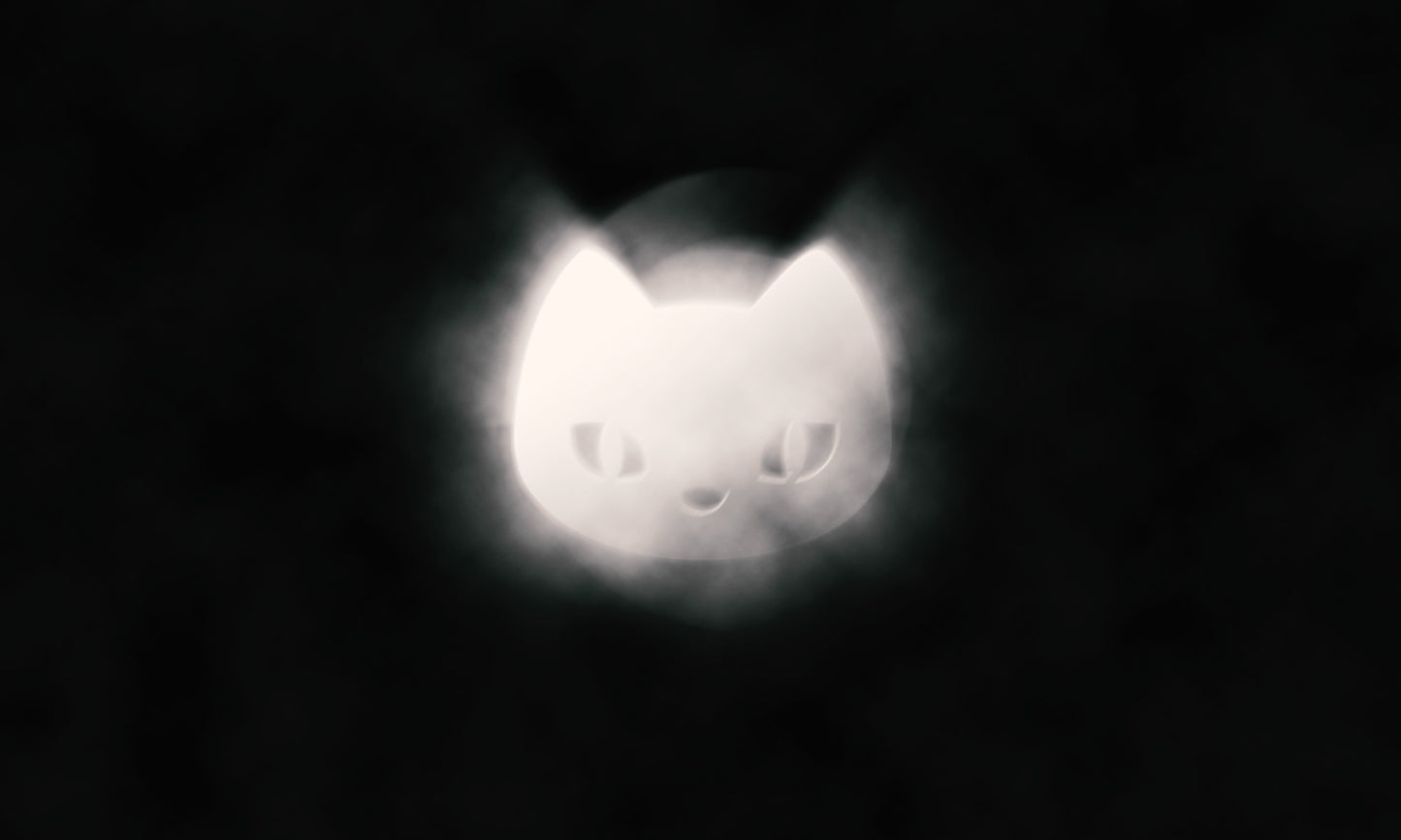 Katt Refleks