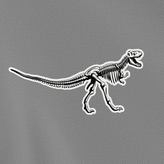 Dinosaur Skjelett