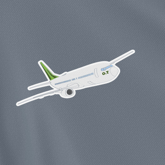 Fly