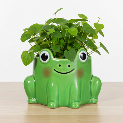 Frosk blomsterpotte