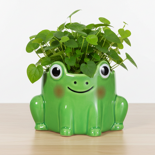 Frosk blomsterpotte