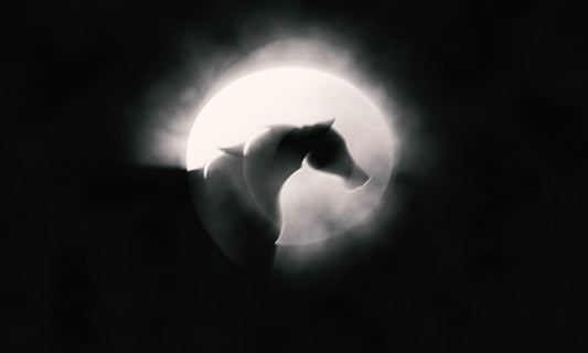 Hest Refleks