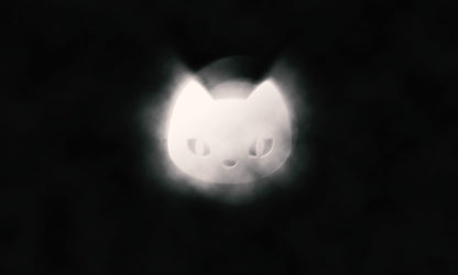 Katt Refleks
