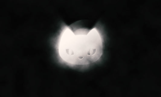 Katt Refleks
